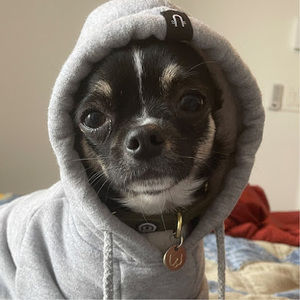 Meet your Posher, Nicola